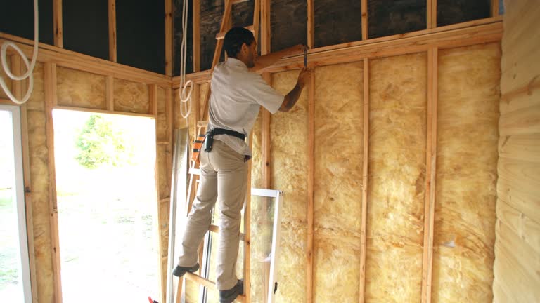 Best Insulation for New Construction  in San Diego Country Estates, CA